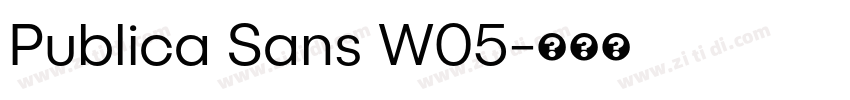 Publica Sans W05字体转换